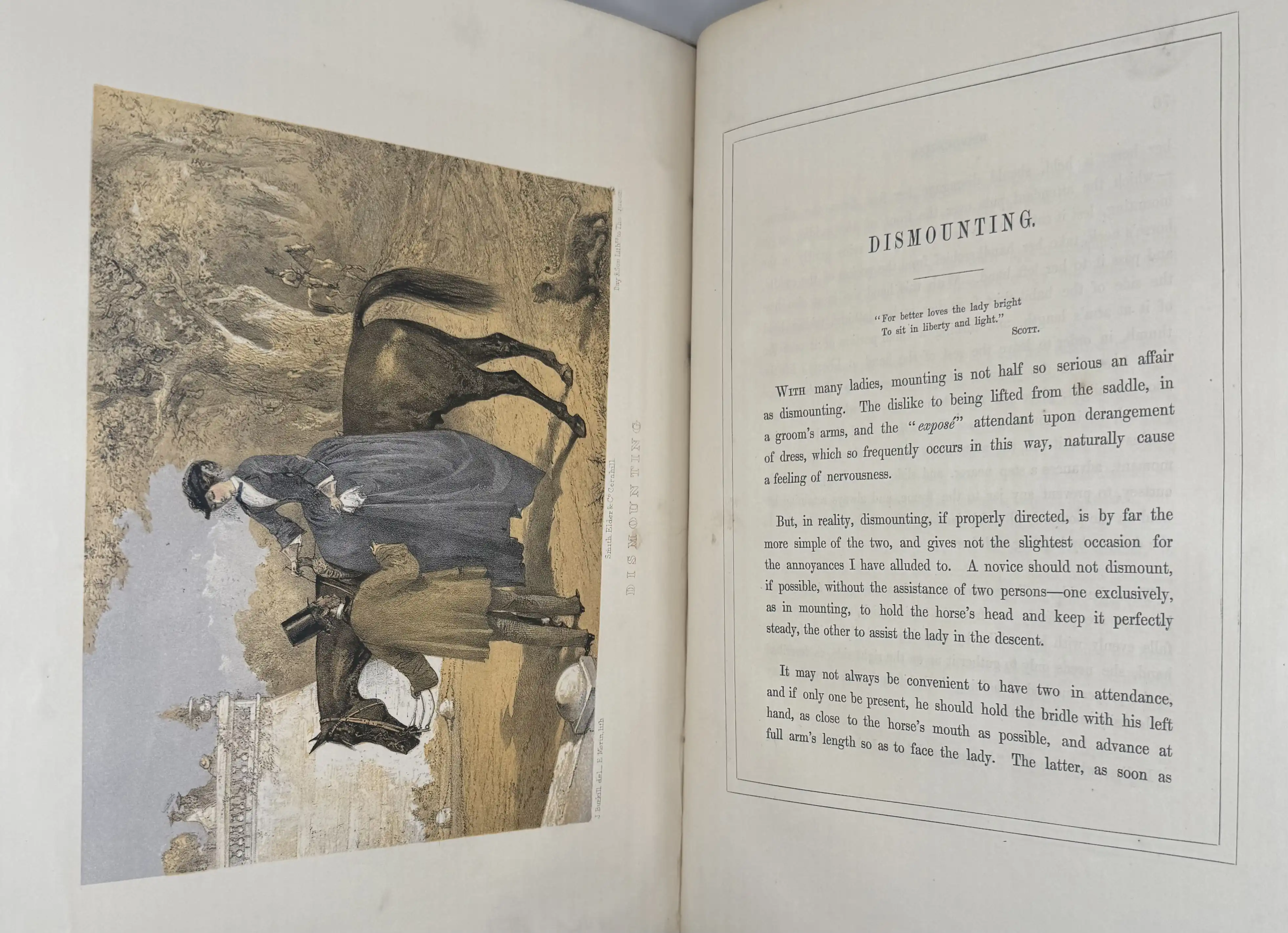 Clarke, The Ladies' Equestrian Guide